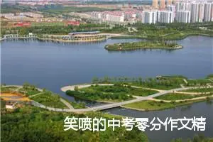 笑喷的中考零分作文精选2021_作文2100字_中考作文