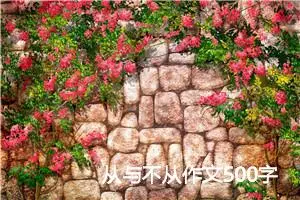 从与不从作文500字_初二作文