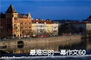 最难忘的一幕作文600字_初二作文