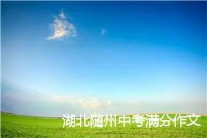 湖北随州中考满分作文范文_中考满分作文