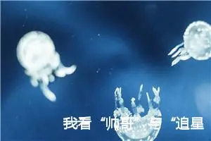我看“帅哥”与“追星”_作文600字_初中议论文作文