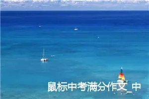 鼠标中考满分作文_中考满分作文