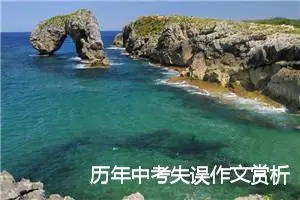 历年中考失误作文赏析：我们的名字叫网友_作文450字_中考作文