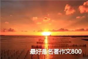 最好是名著作文800字_初二作文