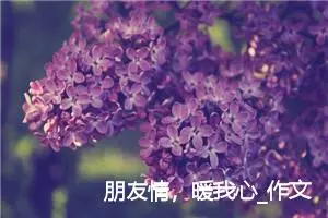 朋友情，暖我心_作文800字_初中议论文作文