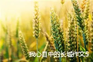我心目中的长城作文500字_初二作文