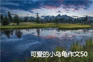 可爱的小乌龟作文500字_初三作文