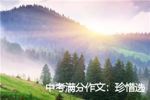 中考满分作文：珍惜选择_作文700字_中考作文