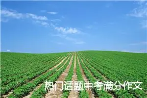 热门话题中考满分作文赏析_中考满分作文