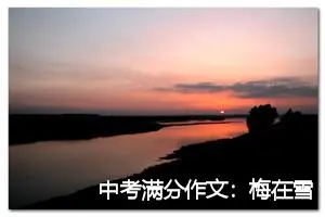 中考满分作文：梅在雪中开_作文600字_中考作文
