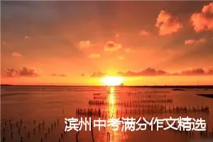 滨州中考满分作文精选：一路有你相伴_中考满分作文