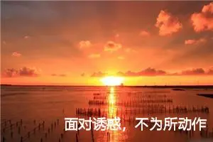 面对诱惑，不为所动作文800字_初二作文