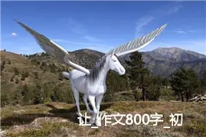 让_作文800字_初中议论文作文