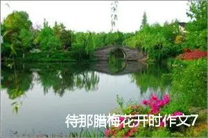 待那腊梅花开时作文700字_初二作文