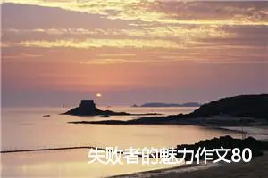 失败者的魅力作文800字_初三作文