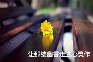 让那缕幽香走进心灵作文700字_初二作文