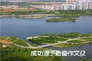 成功源于勤奋作文(2篇)_初中议论文作文
