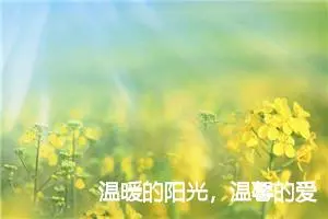 温暖的阳光，温馨的爱_作文450字_初二作文