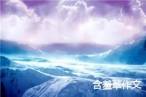 含羞草作文
