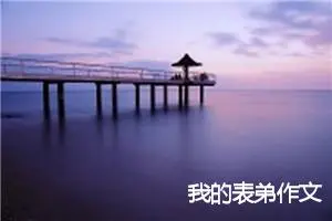 我的表弟作文