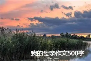 我的母亲作文500字