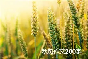秋风作文200字