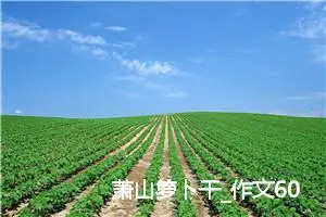 萧山箩卜干_作文600字_初中说明文作文