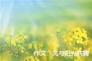 作文：风与阳光共舞