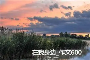 在我身边_作文600字_初中综合作文