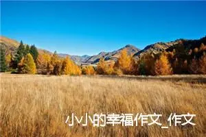 小小的幸福作文_作文650字_初三作文