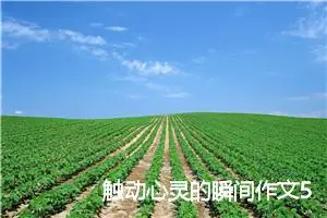 触动心灵的瞬间作文500字_初三作文