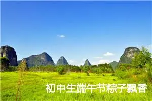 初中生端午节粽子飘香的作文400字_初中节日作文