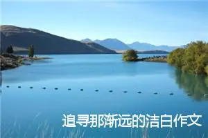 追寻那渐远的洁白作文600字_初三作文