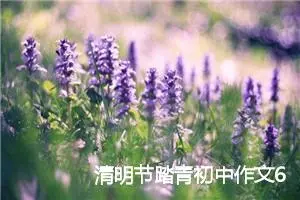 清明节踏青初中作文600字三篇_初中节日作文