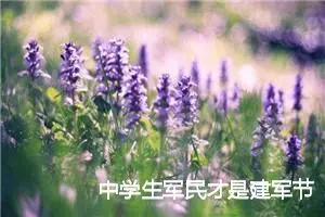 中学生军民才是建军节作文600字_初中节日作文