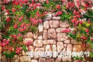 初中描写家乡的传统节日作文_作文2200字_初中节日作文