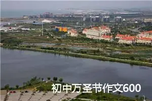 初中万圣节作文600字【三篇】_初中节日作文