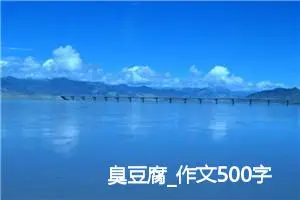臭豆腐_作文500字_初中说明文作文