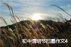 初中清明节扫墓作文400字【三篇】_初中节日作文