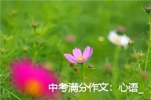 中考满分作文：心语_作文650字_中考作文