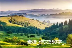牵挂_作文650字_初中说明文作文