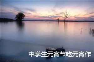 中学生元宵节吃元宵作文600字【三篇】_初中节日作文
