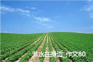 节水在身边_作文800字_初中说明文作文
