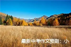 最新中考作文预测：小白杨，太棒了！_作文700字_中考作文预测