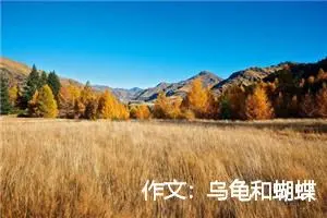 作文：乌龟和蝴蝶