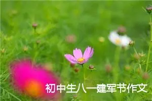 初中生八一建军节作文800字三篇_初中节日作文