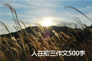 人在初三作文500字_初三作文