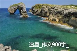 追星_作文900字_初中说明文作文