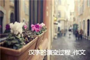 汉字的演变过程_作文600字_初中说明文作文