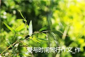 爱与时间同行作文_作文500字_初三作文